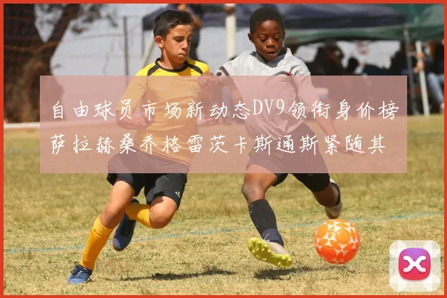 自由球员市场新动态DV9领衔身价榜萨拉赫桑乔格雷茨卡斯通斯紧随其后